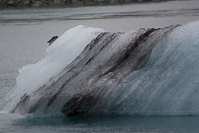 an iceberg in Jökulsárlón