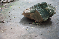 a rock displaced by a flood.  scuff marks are visible on the path where the rock was puched along by floodwaters