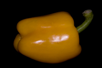 a yellow bell pepper