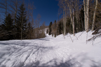 a snowed-over maintenance road in the Sangre de Christo Mountains