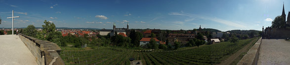 vinyard at Michaelsberg Abbey