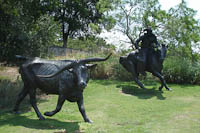 cow statues in a cow statue park