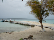 scenes from Goff's Caye